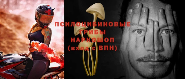 гашик Алексин