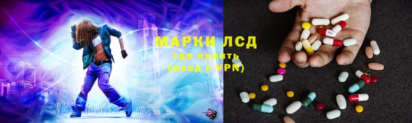 гашик Алексин