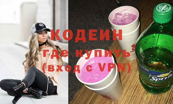 гашик Алексин