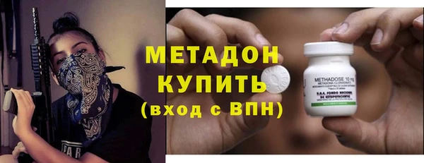гашик Алексин