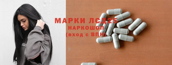 гашик Алексин