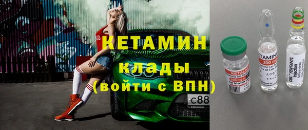 гашик Алексин