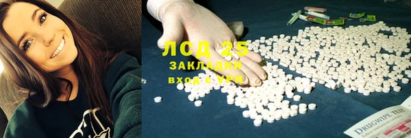 ГАЛЛЮЦИНОГЕННЫЕ ГРИБЫ Алзамай