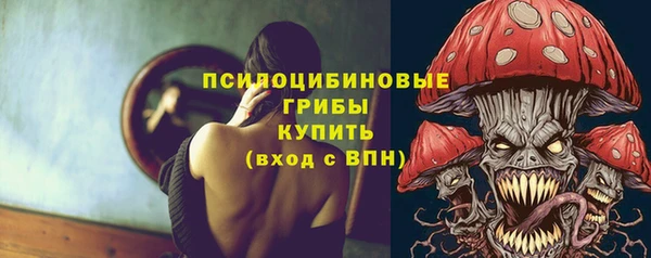 гашик Алексин