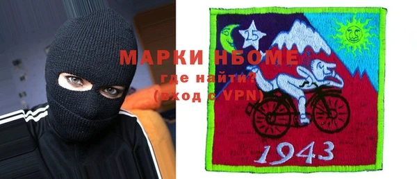 гашик Алексин
