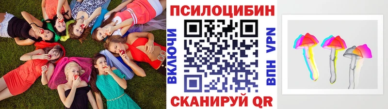 Псилоцибиновые грибы GOLDEN TEACHER  закладки  Павловская 